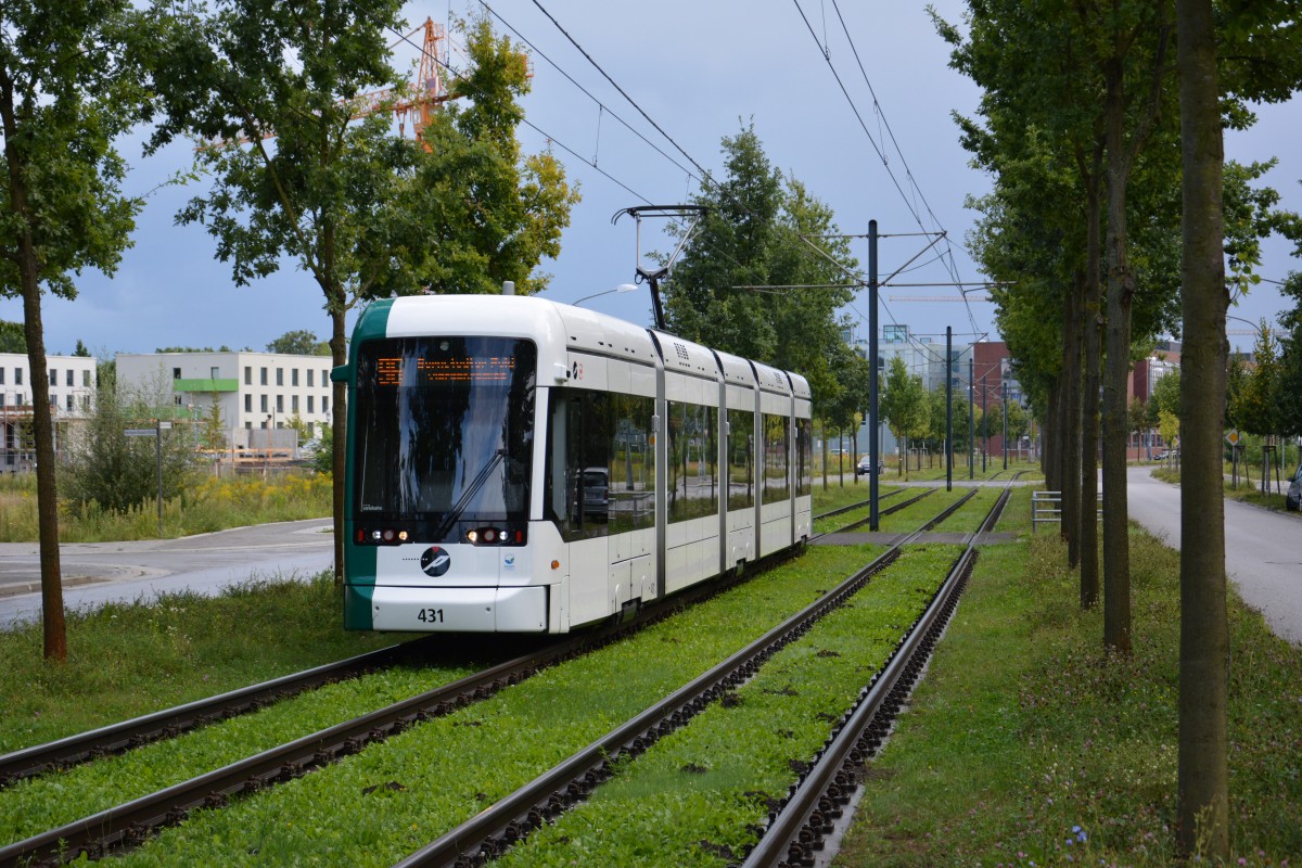 Vario Bahn 431 auf der Linie 96 am Volkspark in Potsdam. Aufgenommen am 16.08.2014.