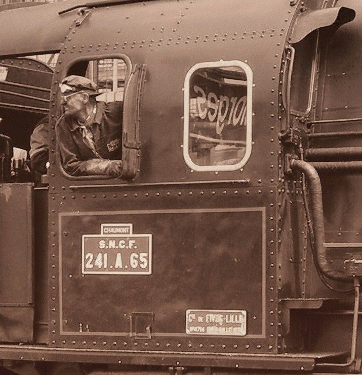 ... und sein Zuschnitt.
(30. Mai 2009)