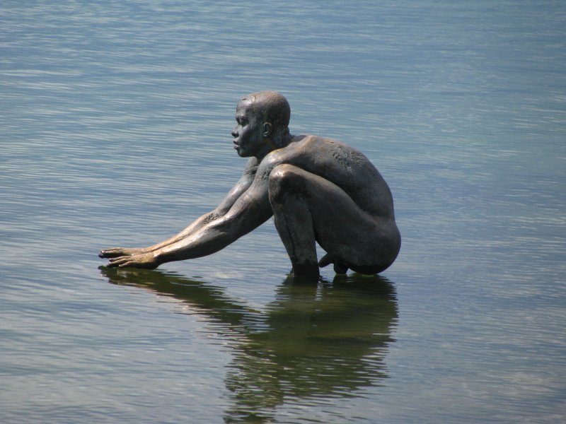 Da w�scht sich einer! Gesehen im Bodensee bei Radolfzell. Das Wasser ist �brigens noch reichlich kalt, ich bin selbst zu diesem netten Herrn herausgewatet um ihn zu gr�ssen. Brrr...(18.April 2009)