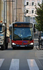 14.10.2019 | Österreich - Salzburg | S 142 UM | Mercedes Benz Citaro II |