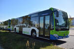 21.09.2019 | Stahnsdorf | Regiobus PM | PM-RB 565 | Mercedes Benz Citaro II |