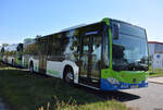 21.09.2019 | Stahnsdorf | Regiobus PM | PM-RB 564 | Mercedes Benz Citaro II |