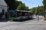 06.08.2020 | Brandenburg - Potsdam | PM-RB 384 | Mercedes Benz Citaro II G� | 