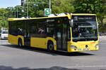 berliner-verkehrsbetriebe-bvg/886496/21052020--berlin---wannsee- 21.05.2020 | Berlin - Wannsee | B-V 1002 | Mercedes Benz Citaro II | BVG |