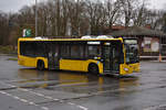 omnibusgesellschaft-hartmann-der-suedender/712932/15032019--berlin-wannsee--hartmann 15.03.2019 | Berlin Wannsee | Hartmann | B-RG 8623 | Mercedes Benz Citaro II |