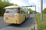 traditionsbus-gmbh/515039/50-jahre-busse-auf-der-kantstrasse '50 Jahre Busse auf der Kantstraße', so hieß es zur Traditionsfahrt 2016. Auch mit dabei B-DV 237H , Büssing E2U 62S. Aufgenommen an der Haltestelle, Flatowallee/Olympiastadion.
