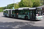 2-generation-niederflur-gelenkbus/885597/21052020--berlin---wannsee- 21.05.2020 | Berlin - Wannsee | BER-HD 947 | MAN |
