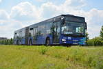 lions-city-gelenkbus/599601/am-04062016-faehrt-ohv-vk-126-fuer Am 04.06.2016 fährt OHV-VK 126 für die ILA 2016 auf der Shuttle Linie 'R'. Aufgenommen wurde ein MAN Lion's City G der OVG. 