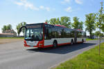 lions-city-gelenkbus/685317/28042018--brandenburg---schoenefeld-ila 28.04.2018 | Brandenburg - Schönefeld (ILA) | MAN Lion's City G | Cottbusverkehr | CB-CV 273 |