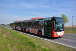 lions-city-gelenkbus/686097/28042018--brandenburg---schoenefeld-ila 28.04.2018 | Brandenburg - Schönefeld (ILA) | MAN Lion's City G | Cottbusverkehr | CB-CV 272 |