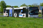 lions-city-gelenkbus/686413/29042018--brandenburg---schoenefeld-ila 29.04.2018 | Brandenburg - Schönefeld (ILA) | MAN Lion's City G | OVG | OHV-VK 53 |