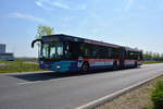 lions-city-gelenkbus/686414/28042018--brandenburg---schoenefeld-ila 28.04.2018 | Brandenburg - Schönefeld (ILA) | MAN Lion's City G | OVG | OHV-VK 112 |