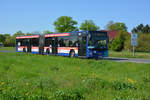 lions-city-gelenkbus/688380/29042018--brandenburg---schoenefeld-ila 29.04.2018 | Brandenburg - Schönefeld (ILA) | MAN Lion's City G | OVG | OHV-VK 122 |