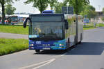 lions-city-gelenkbus/688383/28042018--brandenburg---schoenefeld-ila 28.04.2018 | Brandenburg - Schönefeld (ILA) | MAN Lion's City G | OVG | OHV-VK 127 |