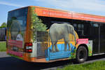 lions-city-gelenkbus/688388/28042018--brandenburg---schoenefeld-ila 28.04.2018 | Brandenburg - Schönefeld (ILA) | MAN Lion's City G | OVG | OHV-VK 127 |