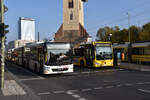 23.11.2019 | Berlin - Alexanderplatz | B-V 4908 + B-V 4874 | MAN Lion's City G + Mercedes Benz Citaro II G |