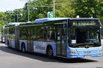 lions-city-gelenkbus/885585/21052020--berlin---wannsee- 21.05.2020 | Berlin - Wannsee | B-BR 4007 | MAN Lion's City G | Berisha Reisen |