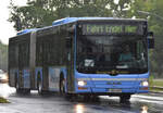 24.05.2020 | Berlin - Wannsee | B-BR 4007 | MAN Lion's City G |