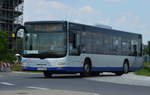 lions-city-solobus/604947/am-04062016-faehrt-p-av-585-fuer Am 04.06.2016 fährt P-AV 585 für die ILA 2016 auf der Shuttle Linie 'L'. Aufgenommen wurde ein MAN Lion's City der BVSG / Betriebshof Stahnsdorf.