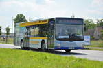 lions-city-solobus/615577/am-04062016-faehrt-p-av-587-auf Am 04.06.2016 fährt P-AV 587 auf der ILA-Sonderlinie L zwischen S-Bahnhof Schichauweg und dem ILA-Gelände. Aufgenommen wurde ein MAN Lion's City der BVSG.