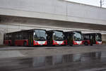 lions-city-solobus/820641/05102019--oesterreich---wien- 05.10.2019 | Österreich - Wien | BD 14988 + BD 14986 + BD 14996 + BD 14985 | Postbus | MAN Lion's City |
