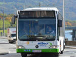 14.10.2019 | Österreich - Salzburg | S 449 NZ | Mercedes Benz Citaro I Facelift |