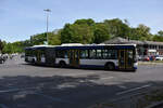 o-530-g-citaro-i/886500/21052020--berlin---wannsee- 21.05.2020 | Berlin - Wannsee | SRB-MB 200 | Mercedes Benz Citaro I G |