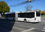 14.10.2019 | Österreich - Salzburg | S 446 NZ | Mercedes Benz Citaro I Facelift CNG |