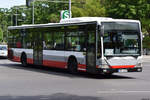 o-530-ue-citaro-i/885591/21052020--berlin---wannsee- 21.05.2020 | Berlin - Wannsee | OHV-VB 96 | Mercedes Benz Citaro I Ü |