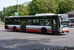 o-530-ue-citaro-i/885592/21052020--berlin---wannsee- 21.05.2020 | Berlin - Wannsee | OHV-VB 96 | Mercedes Benz Citaro I Ü |