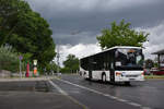 24.05.2020 | Berlin - Wannsee | B-BN 704 | Setra S 415 LE Business |