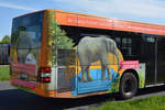 28.04.2018 | Brandenburg - Schönefeld (ILA) | MAN Lion's City G | OVG | OHV-VK 127 |