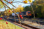 Herbstzeit im Hellertal.....und Hagebutten im Vordergrund....